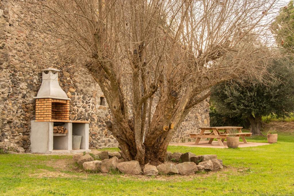 Casa Rural En Rupia Con Piscina 외부 사진